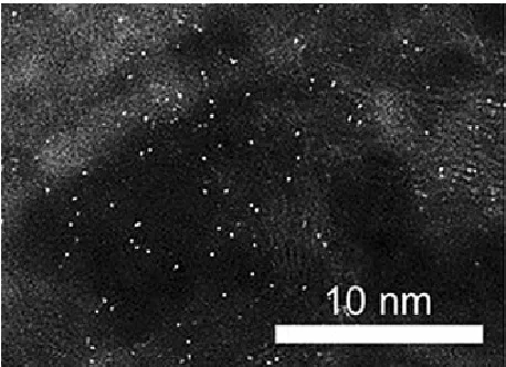 Figure 3. High-angle annular dark-field scanning transmission electron microscopy photograph of covalent triazine framework functionalized with Pt developed by Nakanishi and co-workers
