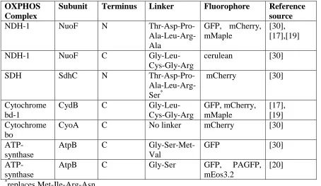 Table 1: Funtionally labelled E. coli OXPHOS complexes  