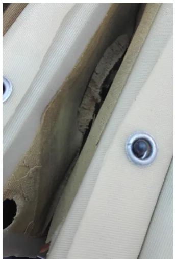 Figure 2. Solid-cake resulting from the three-phase vertical centrifugation removed using a press filter