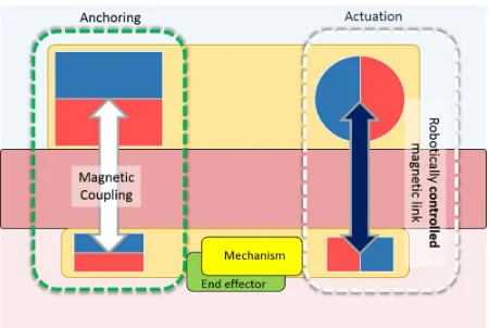 Fig. 4: Illustration of MAGS with robotic actuation