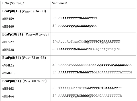 Table 3. Oligonucleotides used in DNA Binding  