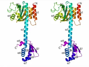 Figure 1 A 