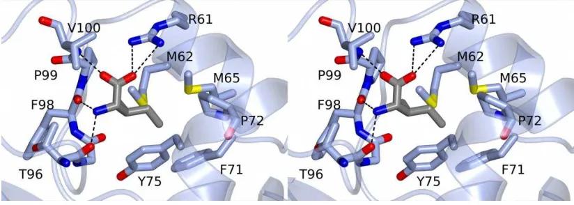Figure 1 D 