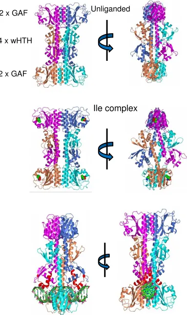 Figure 2 A 2 x GAF 