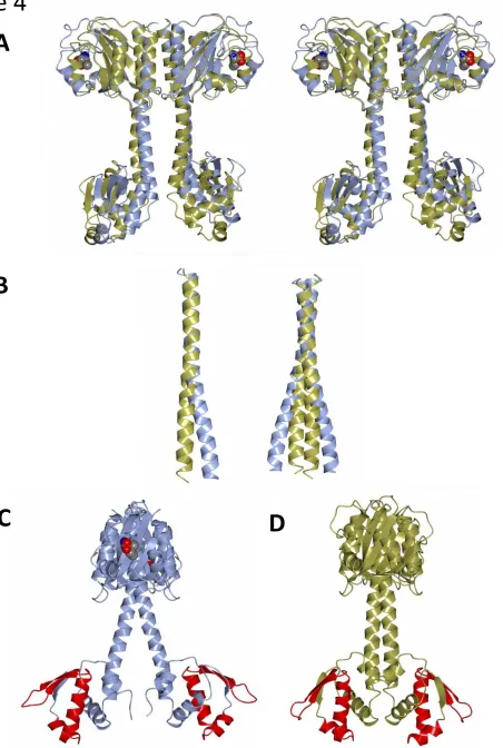 Figure 4 A 