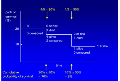 Figure 4 (a):  Samples of Kaplan-Meier survival curves. It is an example of a Kaplan-Meier survival curve