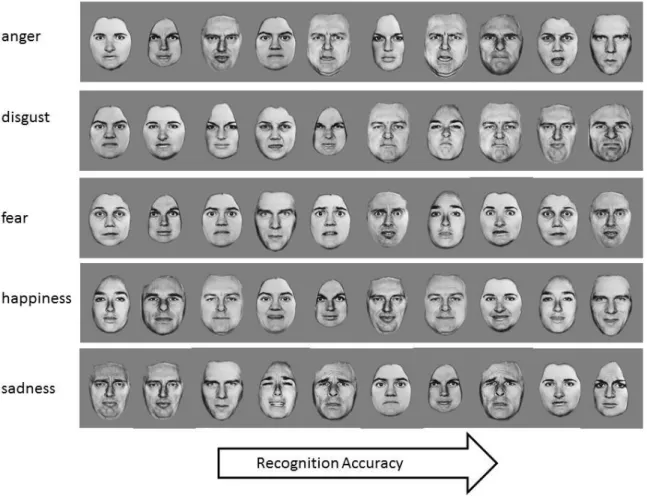 Figure 1. Static face expression stimuli.