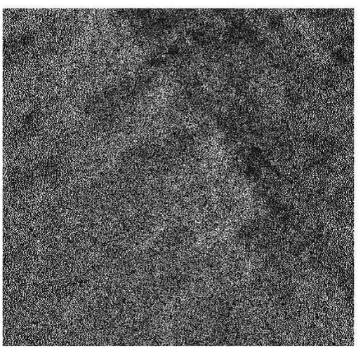 Figure 6. Generated SAR images for a complex scene. 