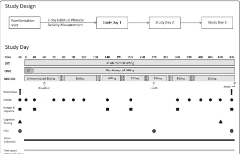 Fig. 1 Study Protocol. CTMT: Comprehensive Trail Making Test; FCQ: Food craving questionnaires; MICRO