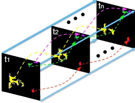 Figure 2 Vessel associations of four chains of color-coded vessels in frame t1, t2,···, tn.
