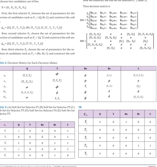 Table 2: Decision Matrix for Each Decision Maker.