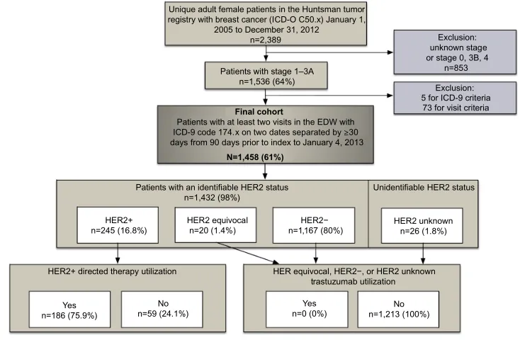 Figure 1 Patient flow, HER2 status, and HER2-directed therapy utilization.Abbreviations: ICD-O, International Classification of Diseases for Oncology; n, number; ICD, International Classification of Diseases; EDW, enterprise data warehouse; her2, human epidermal growth factor receptor 2.
