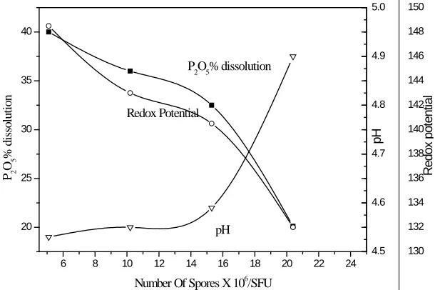 Figure (9): The Effect of Penicillium Chrysogenum Isolate Amount on Dissolution of PR2ROR5R Content of Ore