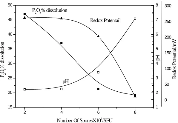 Figure (10): The Effect of A.Niger Isolated Amount on Dissolution of PR2ROR5R Content of  Ore