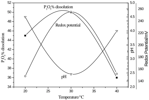 Figure (12): The Effect of Temperature on Dissolution of  PR2ROR5R Content of  Ore 