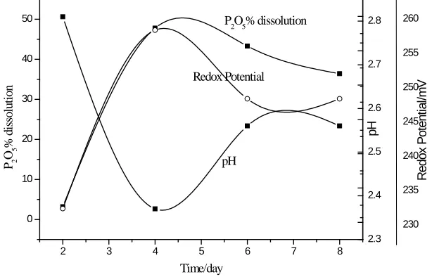 Figure (4): Effect of Different Incubation Time Period on Phosphate Dissolution by A. Niger Isolated