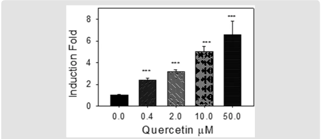 Figure 2: Flavonoid induction of human SULT1E1 in MCF-7 cells. MCF-7 cells were treated for two days by flavonoids at indicated concentrations