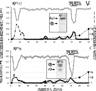 Figure 5.  Concanavalin A affinity chromatography of SPI pool 2 Fig 3a. The SPI58 pool was applied and the column eluted with 10 bed volumes of starting buffer (50 mM Tris, 200 mM NaCl buffer pH 7.2 starting buffer containing 1 mM CaCl2, 1 mM MgCl2, and 1 