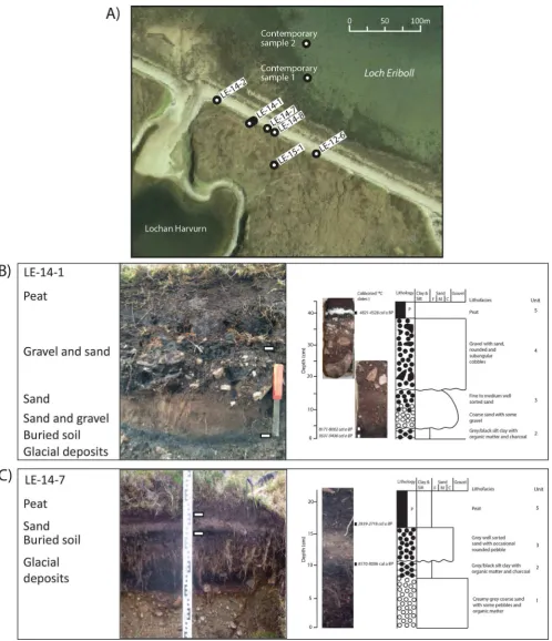Figure 6.The Lochan Harvurn coastal cliff study site at the head of Loch Eriboll: (A) location of sample sites (image courtesy of Google Earth),(B) LE-14-1 sample proﬁle with grain size description and lithology, and (C) LE-14-7 sample proﬁle.