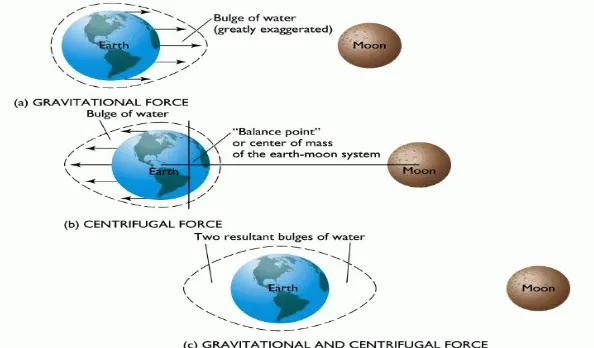 Figure (1): Tide phenomena 