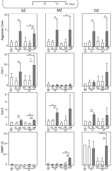 Figure 2. Gene expression by longitudinal depth zone-derived chondrocytes forming spheroids