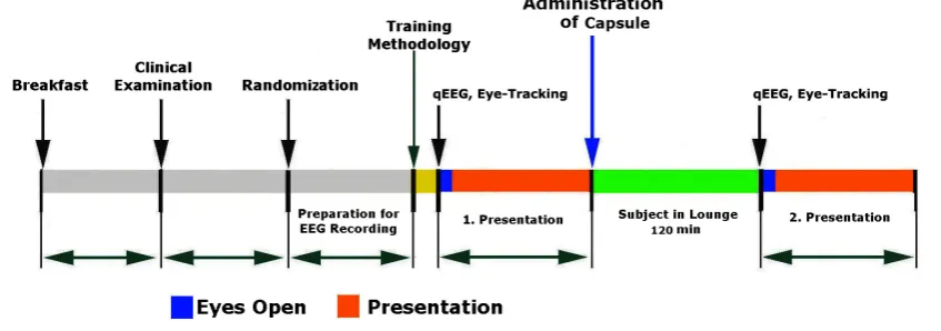 Figure 1. Time line of experimental day.                                                                           