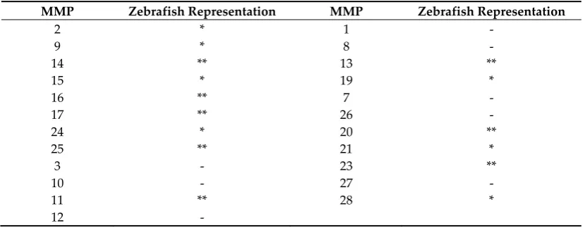 Table 1. Matrix metalloproteinase (MMP) representation in zebrafish.are unevenly represented in zebrafish, adapted from [105]