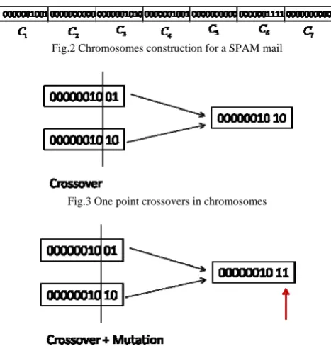 Fig.2 Chromosomes construction for a SPAM mail 