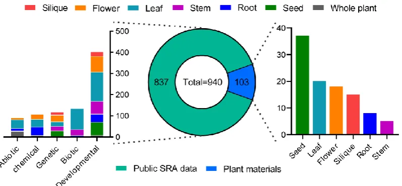 Figure 1. Statistics of samples used in the BrassicaEDB. A total of 940 samples were used to construct the BrassicaEDB, including 103 plant material samples and 837 public SRA data samples