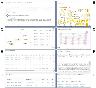 Figure 6. The main functional modules in the BrassicaEDB. (A) Gene Feature, (B) eFP, (C) Coexpression, (D) Treatment, (E) SRA Project, (F) BLAST, (G) qPCR primer, (H) Downloads
