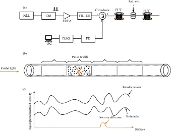 Figure 1. (a) Setup of a Φ-OTDR system, (b) illustration of Rayleigh phenomenon, (c) intrusion detection