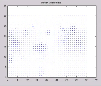 Figure 10. Motion vector field. 