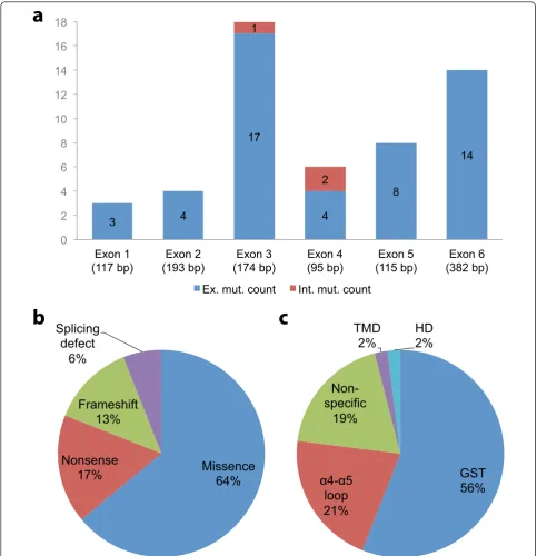 Figure 2 Distribution of the 53 pathogenic mutations in the GDAP1 gene. a: exons involved in the mutations are shown as blue bars; themutations in the intronic neighbourhood of the exons are shown as red bars; b: type; and c: domain