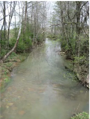 Figure 1. The site for collecting samples was the buckeye creek. 