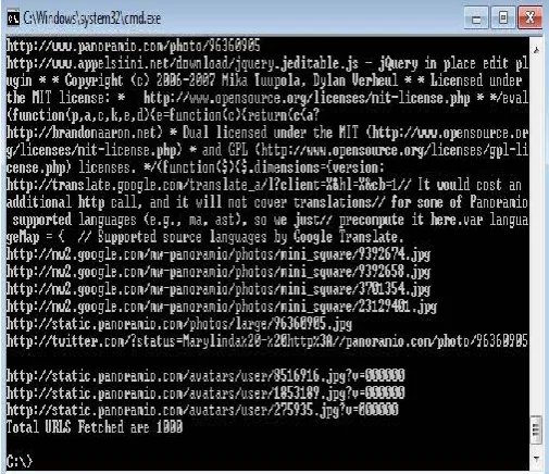 Figure 4.1: Output of web crawler 
