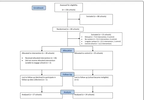 Fig. 1 CONSORT flow chart describing progress of participants through the study