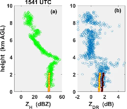 Figure 6. Vertical profiles from NPOL radar RHI scan at 1541 UTC. The scatter of points is due to extracting data from each resolution volume or pixel from 37.5–38.5 km and above 500 m height