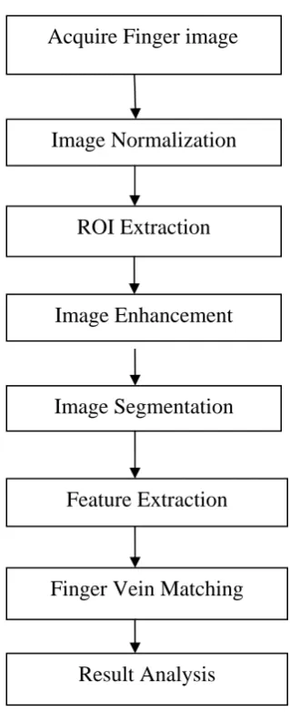 Figure 3: The output of Image Normalization. 