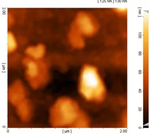 Fig. 1: in this article, the microscopic image shows atomic power of built Zns/glass multilayer