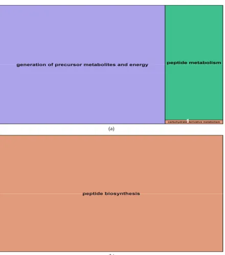 Figure 8: Summary treemaps of GO (gene ontology) term representatives for the category “biological process” obtained from salt-induced differentially methylated genes in barley roots: (a) Representatives of GO terms enriched by hypomethylated genes in root