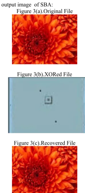 Figure 3(a).Original File 