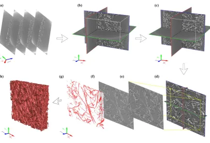 Figure 2. Schematic depicting the steps involved in the reconstruction process of cellulose-