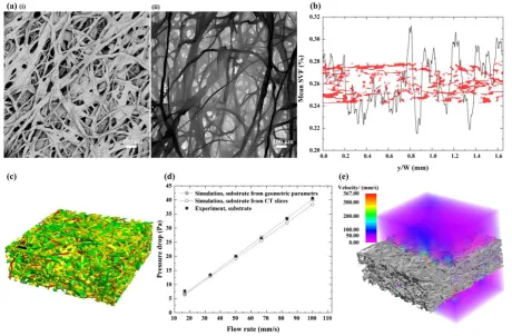 Figure 4. Verification of virtual cellulose fiber-based substrate. Top–view SEM image of a(i) 