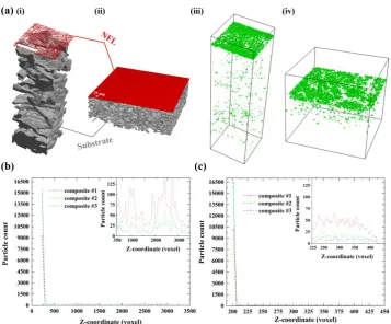 Figure 7. The location and distribution of particles deposited in the computation domain of 