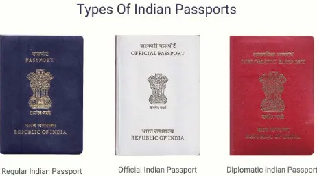 Fig 1: Types of Indian Passport 