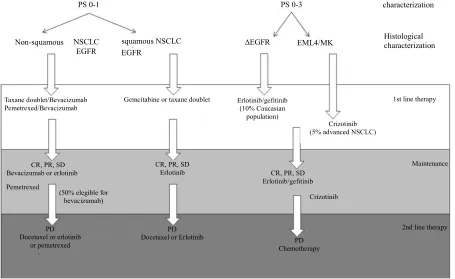 Figure 1. Current algorithm of treatment of advanced NSCLC patients. 