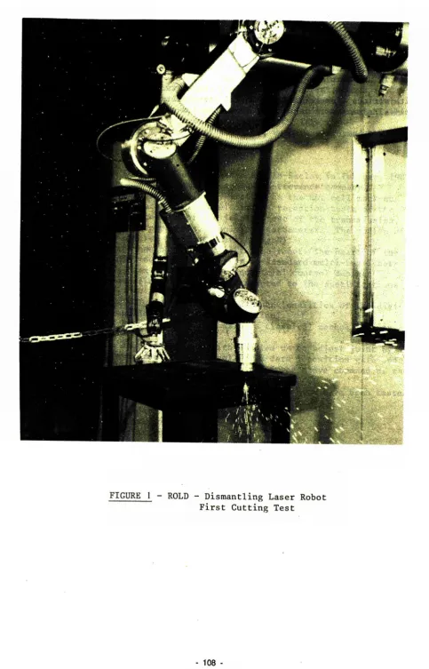 FIGURE 1 - ROLD - Dismantling Laser Robot 