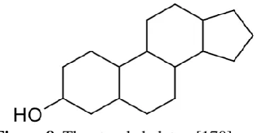 Figure 8. The sterol skeleton [170] 