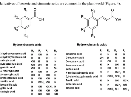 Figure 4. The structures of phenolic acids [56, 57] 