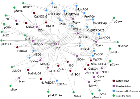 Figure 2. The network topology of plant and nutrient solution interaction model   Brown nodes are system input, inorganic fertilizers and water